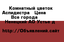 Комнатный цветок Аспидистра › Цена ­ 150 - Все города  »    . Ненецкий АО,Устье д.